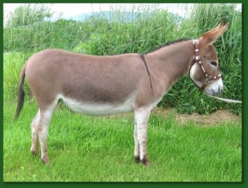 Ass-pirin Acres 2 Hot 2 Touch