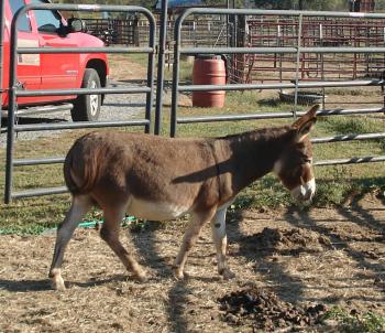 Sunset Acres Pretty Boy Floyd